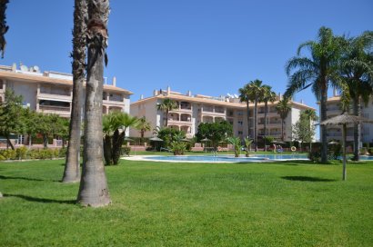 Apartament - Rynek wtórny - Orihuela Costa - Playa Flamenca