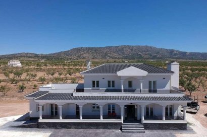 Villa - New Build - Pinoso - Camino Del Prado