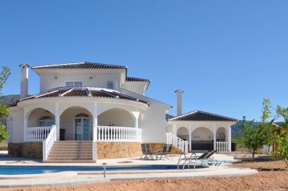 Villa - New Build - Pinoso - Lel