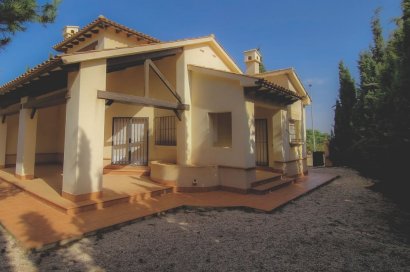 Villa - Obra nueva - Fuente Álamo - Las Palas