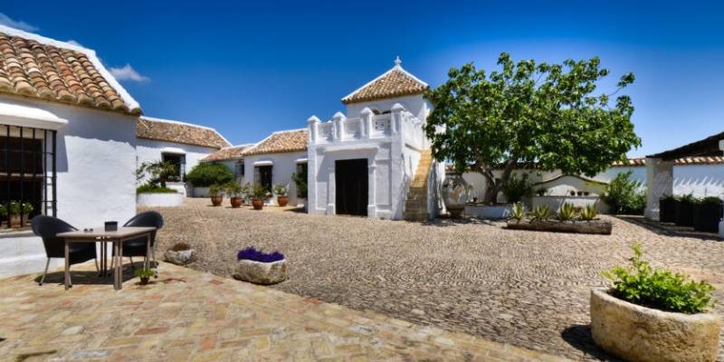 Why do houses in Spain have small plots?