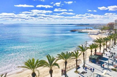 Rynek pierwotny - Willa - Torrevieja - Lago Jardín II