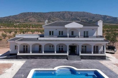 New Build - Villa - Pinoso - Camino Del Prado