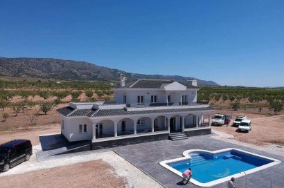 New Build - Villa - Pinoso - Camino Del Prado