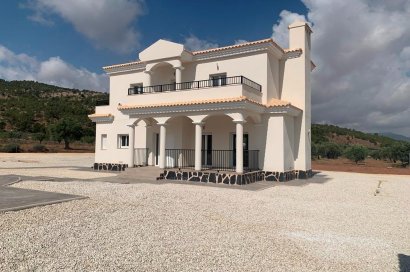 New Build - Villa - Pinoso - Camino Del Prado