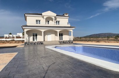 New Build - Villa - Pinoso - Camino Del Prado