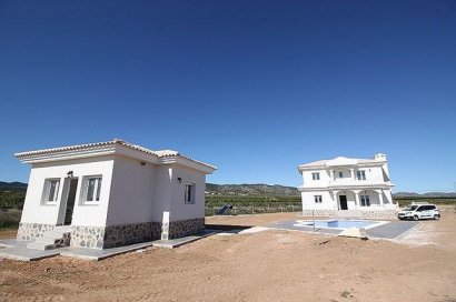 New Build - Villa - Pinoso - Camino Del Prado