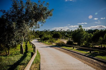 New Build - Villa - Rojales - Doña Pepa