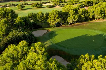 New Build - Villa - Pilar de la Horadada - Lo Romero Golf