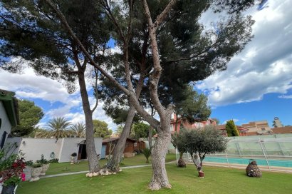 Resale - Villa - Orihuela Costa - Campoamor